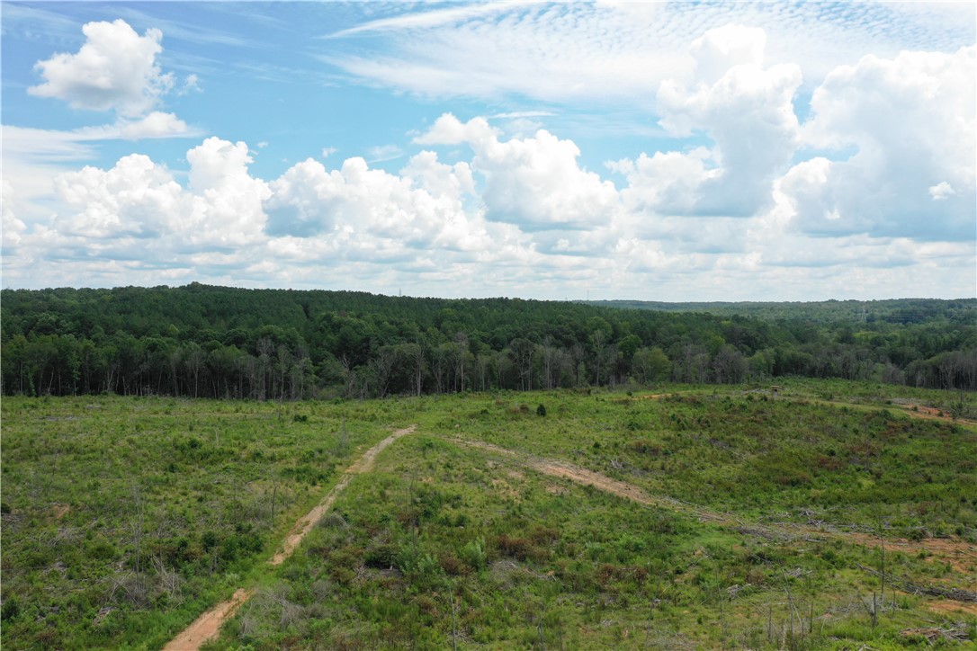 0 Mountain Creek Church Road Anderson, SC 29626 - Photo 3 of 27 Gallery Image 3