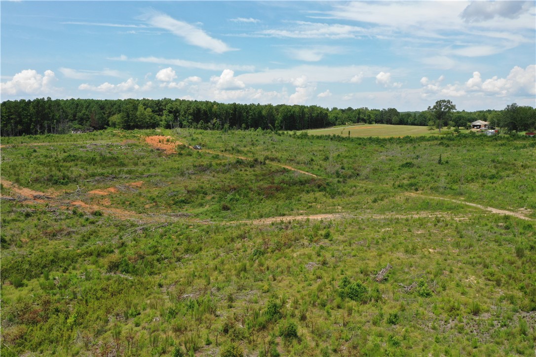 0 Mountain Creek Church Road Anderson, SC 29626 - Photo 10 of 27 Gallery Image 10