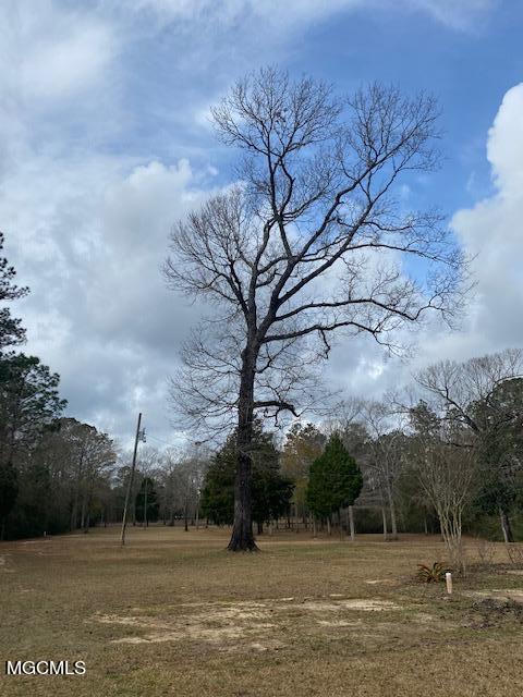 45 Pine Trail Road Perkinston, MS 39573 - Photo 3 of 12 IMG_4679