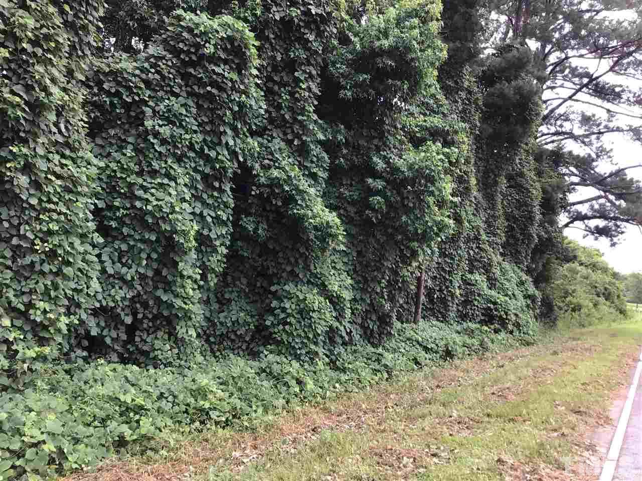 545 Partin Road Dunn, NC 28334 - Photo 6 of 8