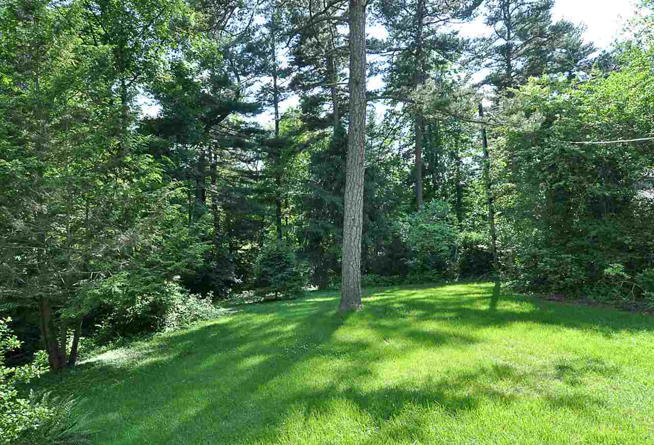 1531 Rugby Road Charlottesville, VA 22903 - Photo 3 of 49 a backyard of a house with lots of green space