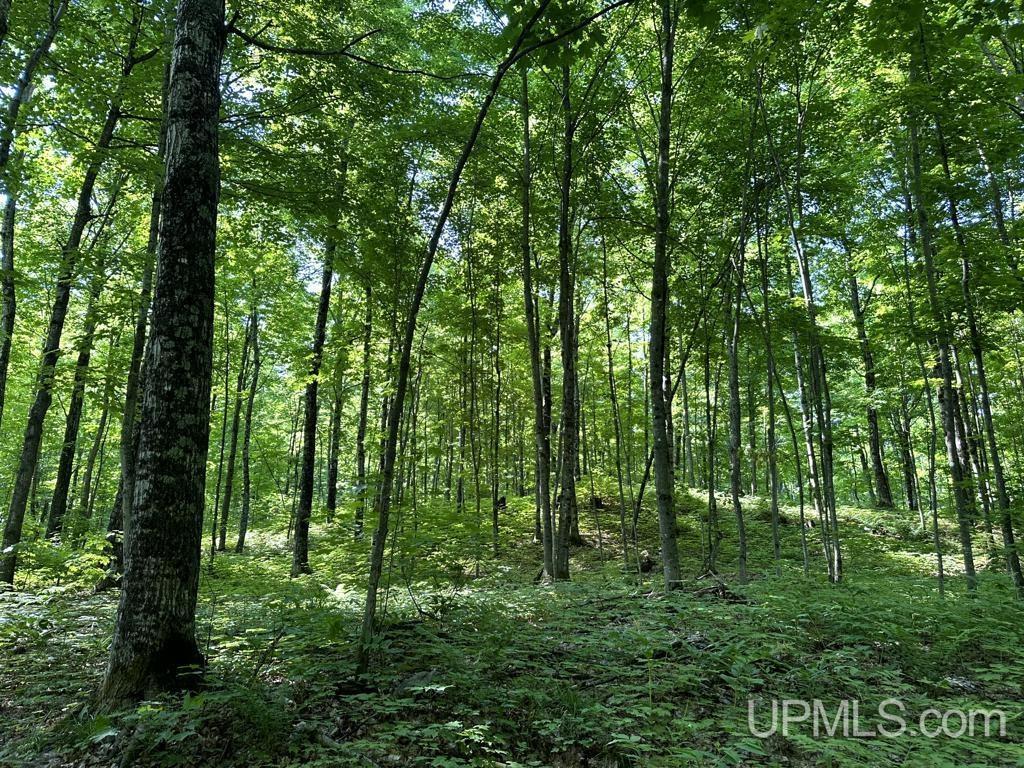 0 County Road 553 Road Marquette, MI 49855 - Photo 27 of 38