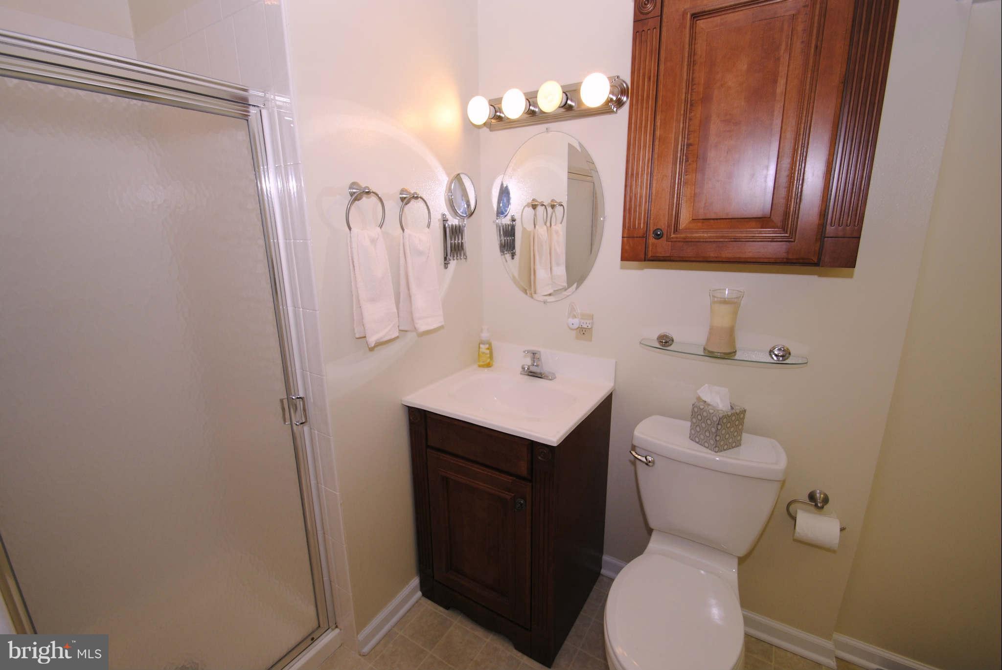 39 Cedar Road Severna Park, MD 21146 - Photo 22 of 30 Master bath w/ shower