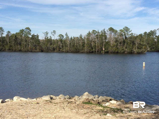 18107 3 Rivers Road Seminole, AL 36574 - Photo 10 of 11