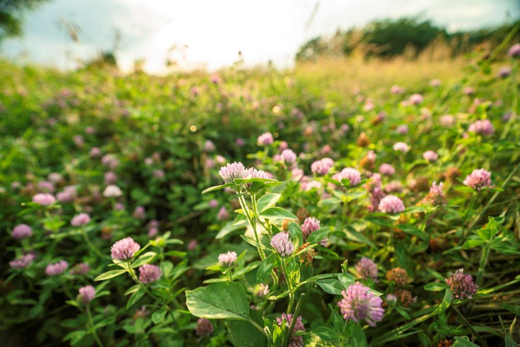 33117 West 800th Road Kincaid, KS 66039 - Photo 48 of 66
