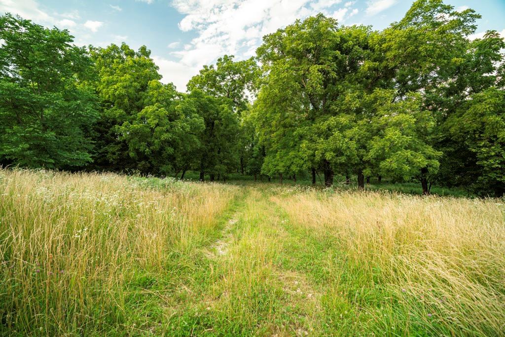 33117 West 800th Road Kincaid, KS 66039 - Photo 49 of 66