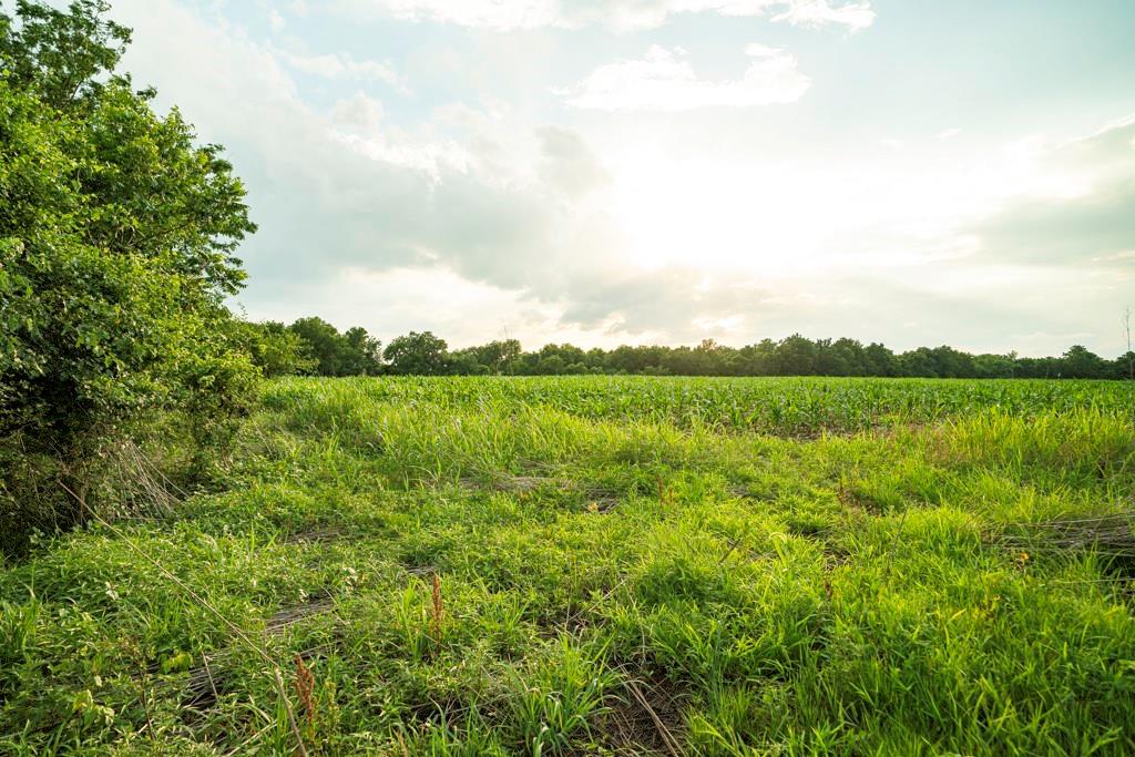 33117 West 800th Road Kincaid, KS 66039 - Photo 55 of 66