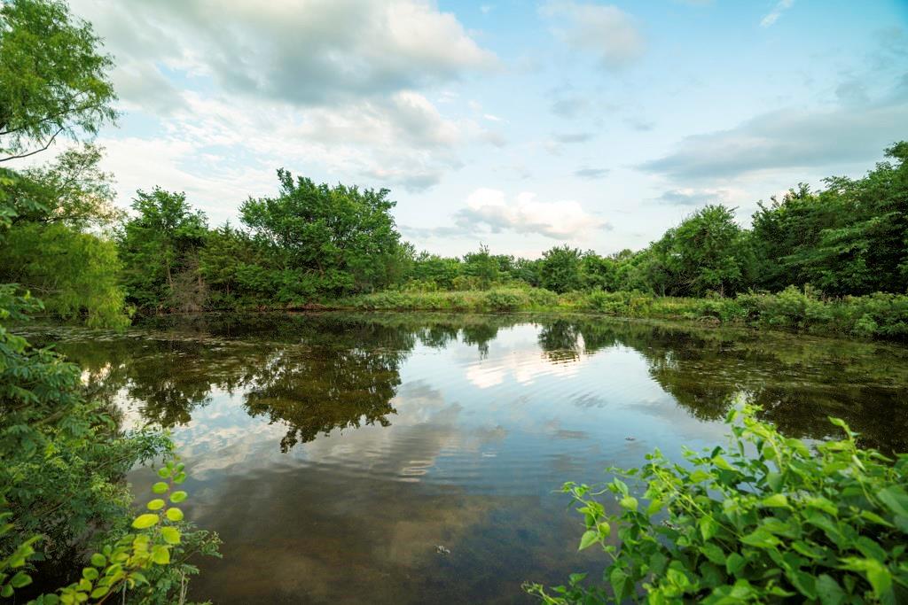 33117 West 800th Road Kincaid, KS 66039 - Photo 57 of 66