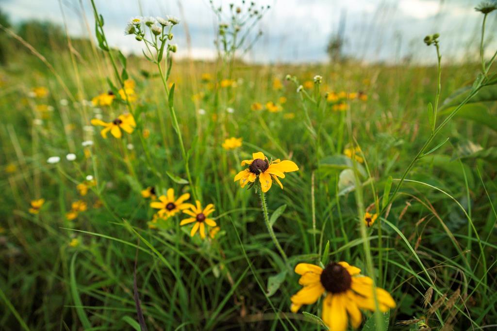 33117 West 800th Road Kincaid, KS 66039 - Photo 60 of 66