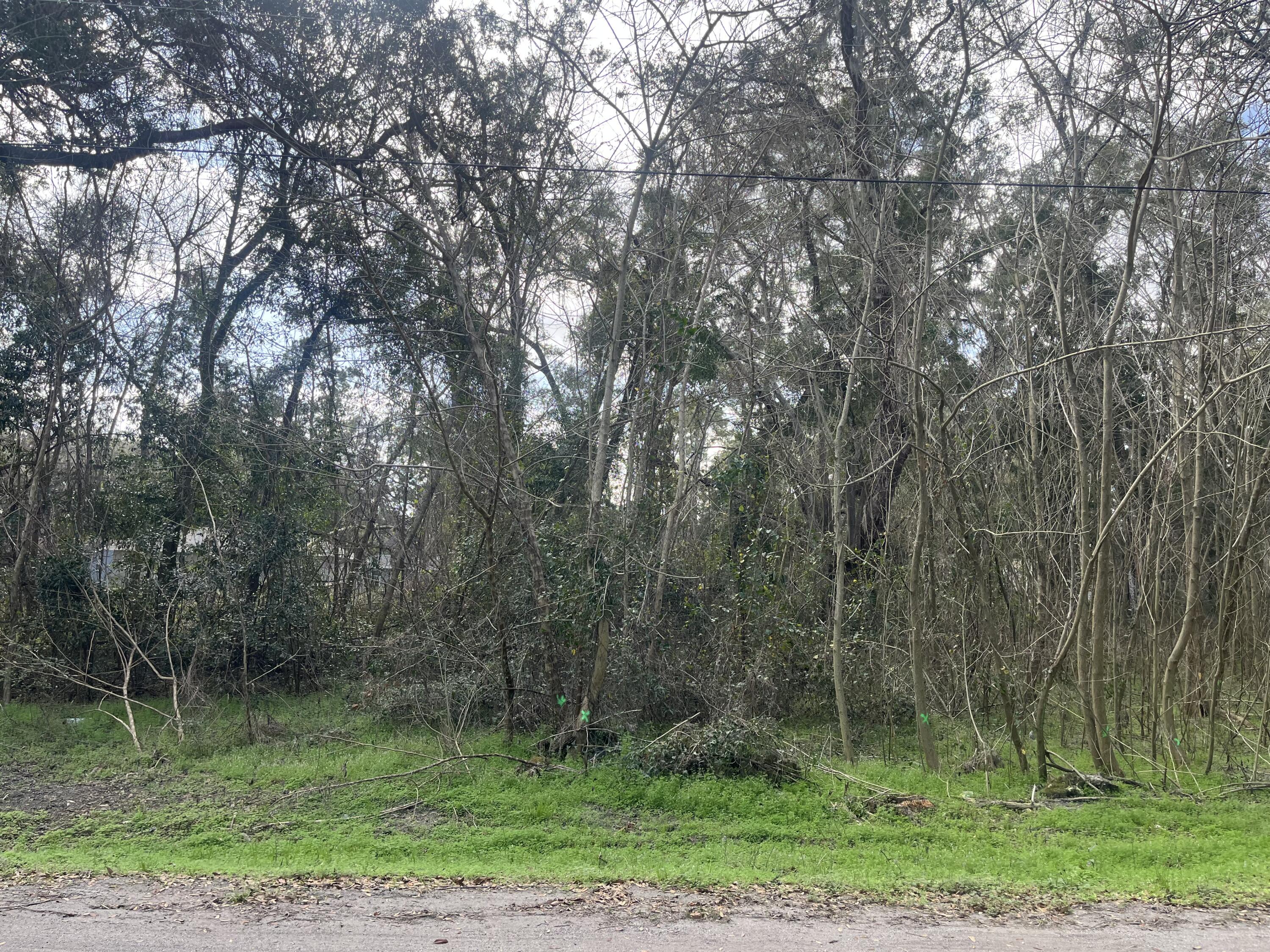 Lot # Northwest 65th Place Ocala, FL 34482 - Photo 2 of 9 IMG_5783
