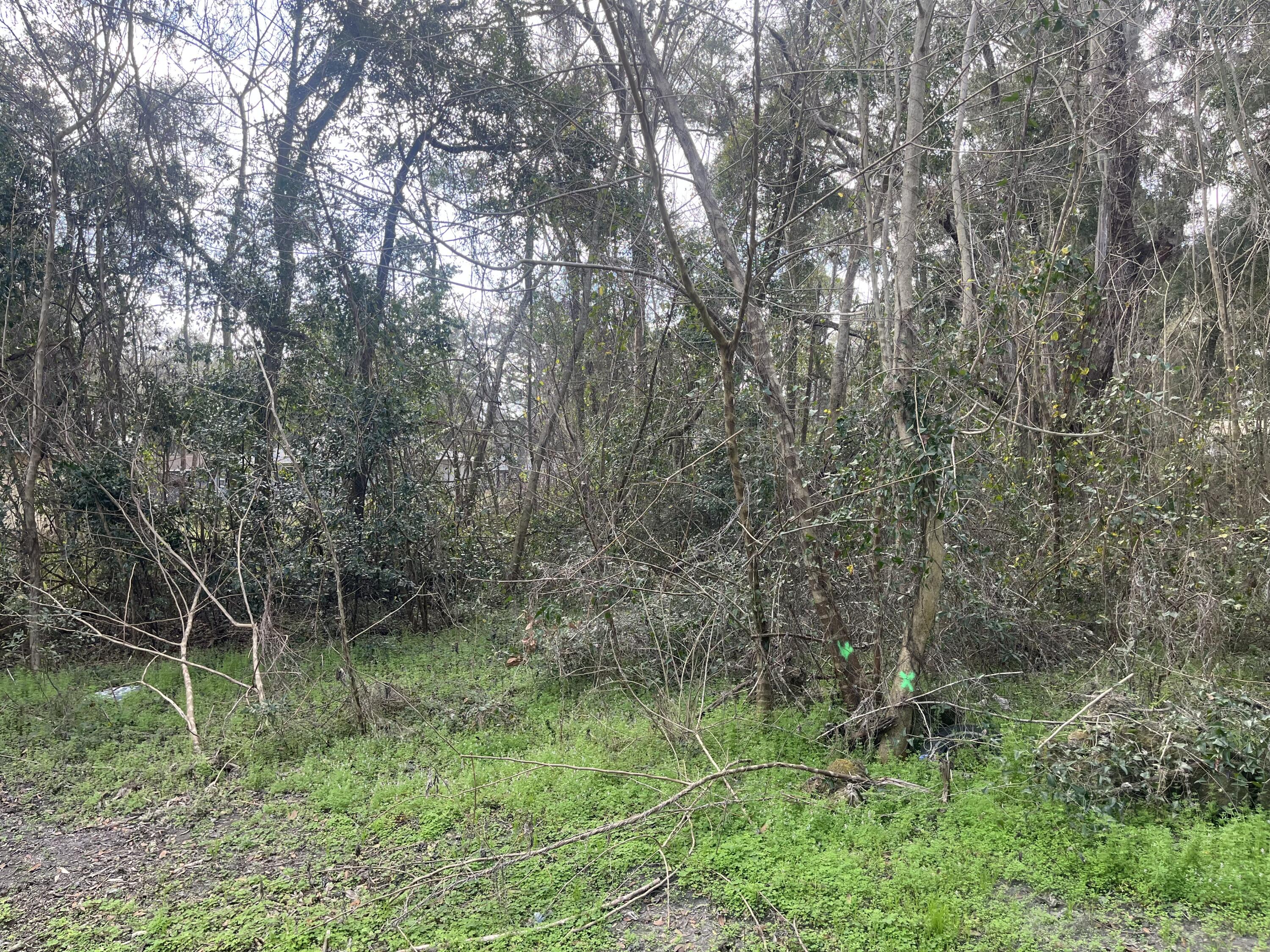 Lot # Northwest 65th Place Ocala, FL 34482 - Photo 5 of 9 IMG_5786