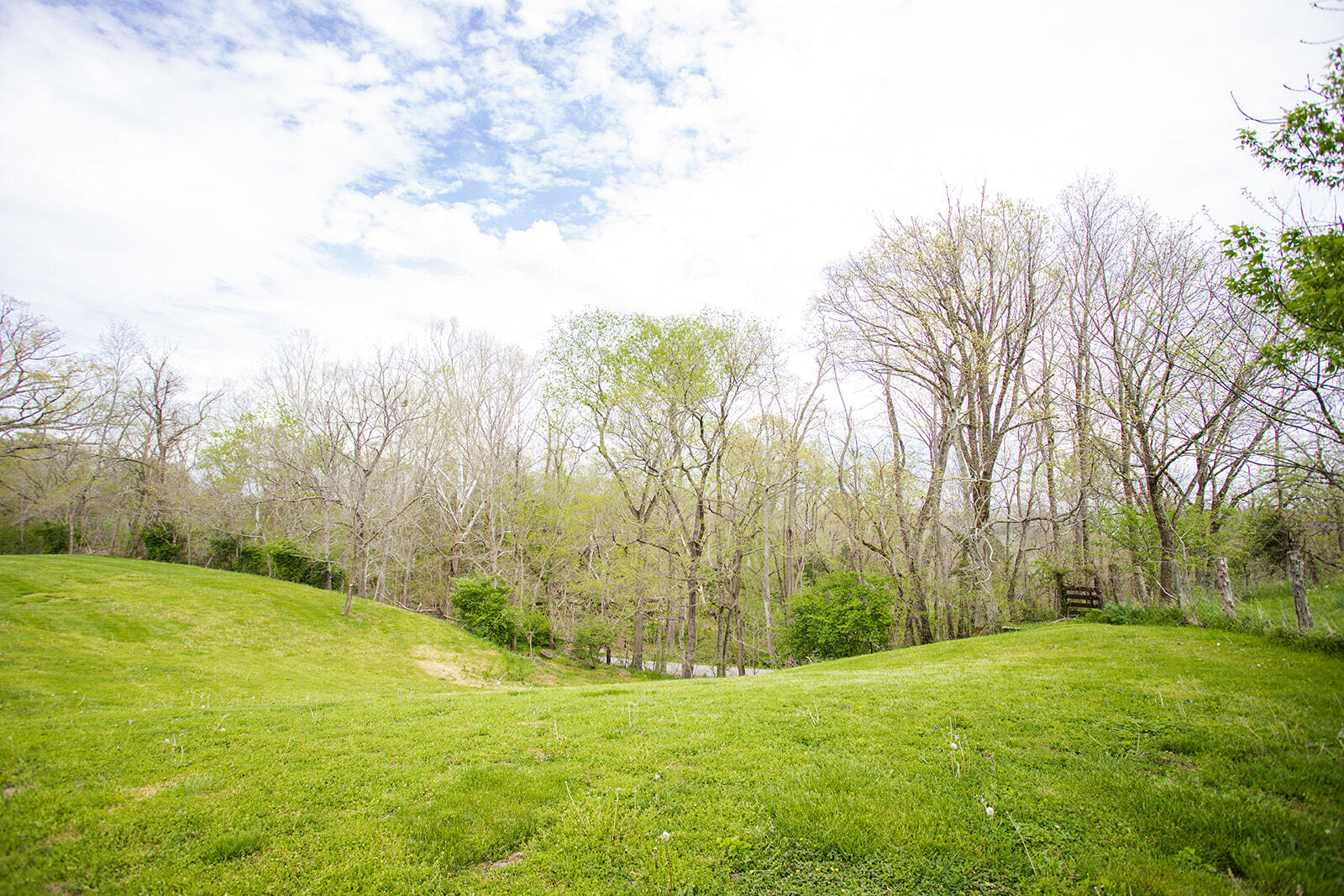 15095 Irvine Road Winchester, KY 40391 - Photo 13 of 57 8G1A5114