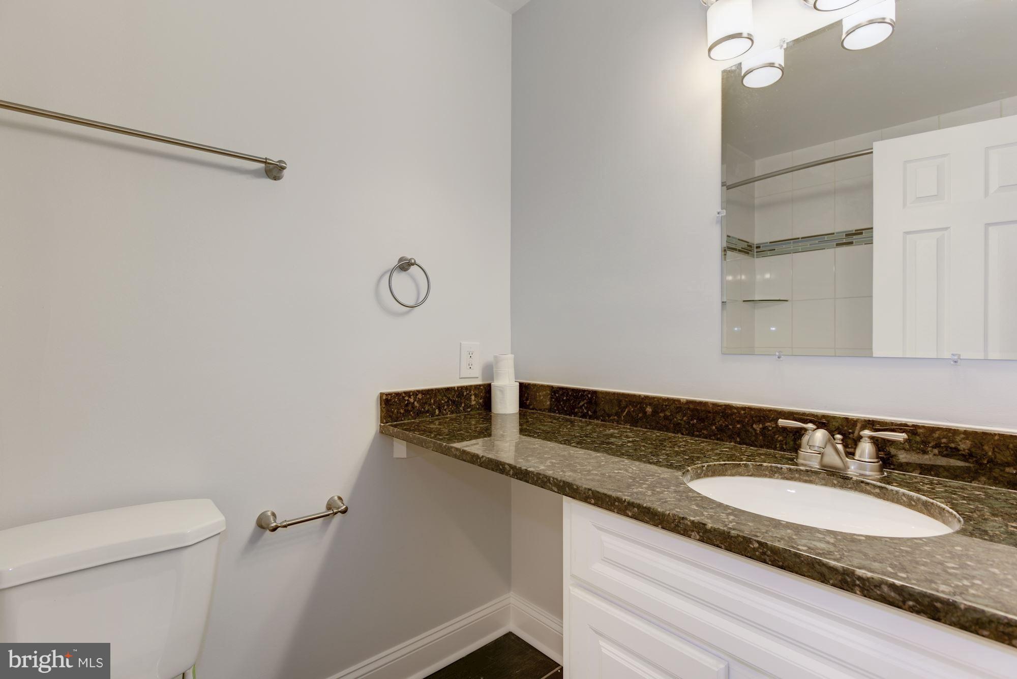 2018 Colts Neck Road, Unit 22 Reston, VA 20191 - Photo 19 of 26 Updated Bathroom
