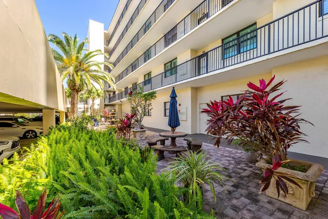 a view of a bunch of flowers