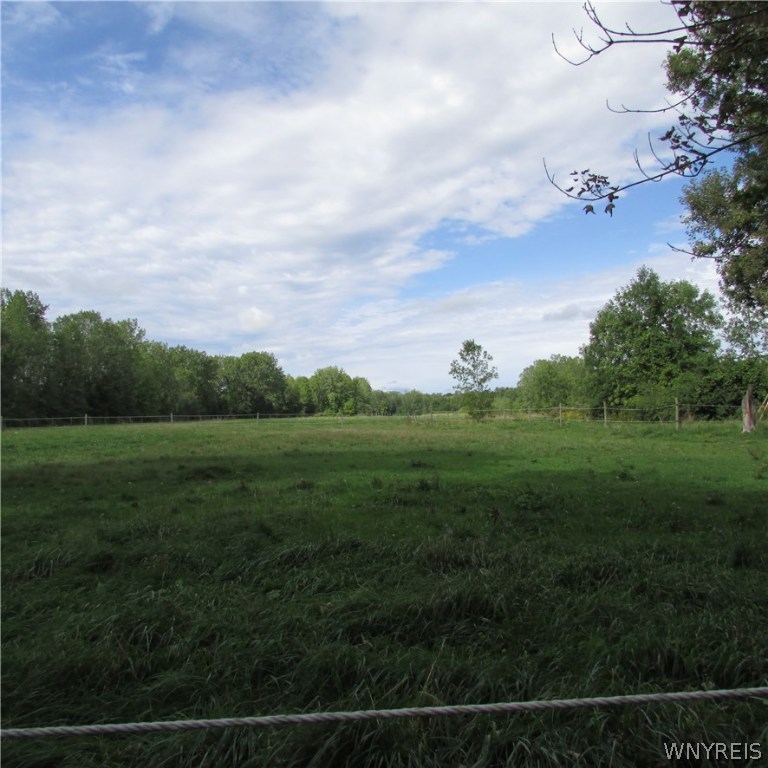 3282 Coomer Road Newfane, NY 14108 - Photo 23 of 25 Pasture and wooded area