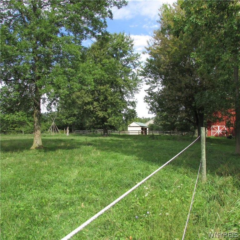 3282 Coomer Road Newfane, NY 14108 - Photo 24 of 25 Pasture, barn and horse shed.