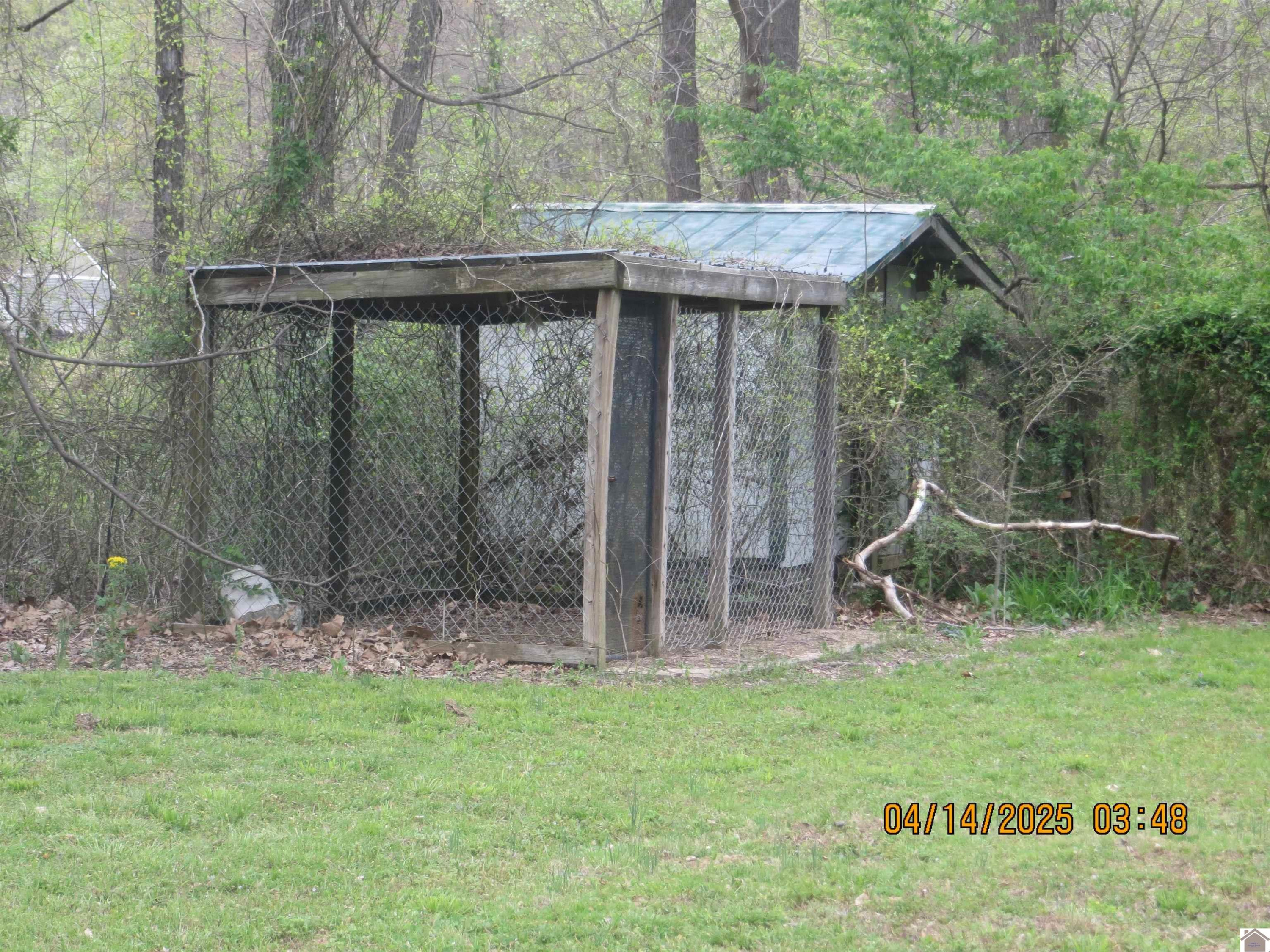 768 Flournoy Road Wickliffe, KY 42087 - Photo 38 of 45 Photo 38