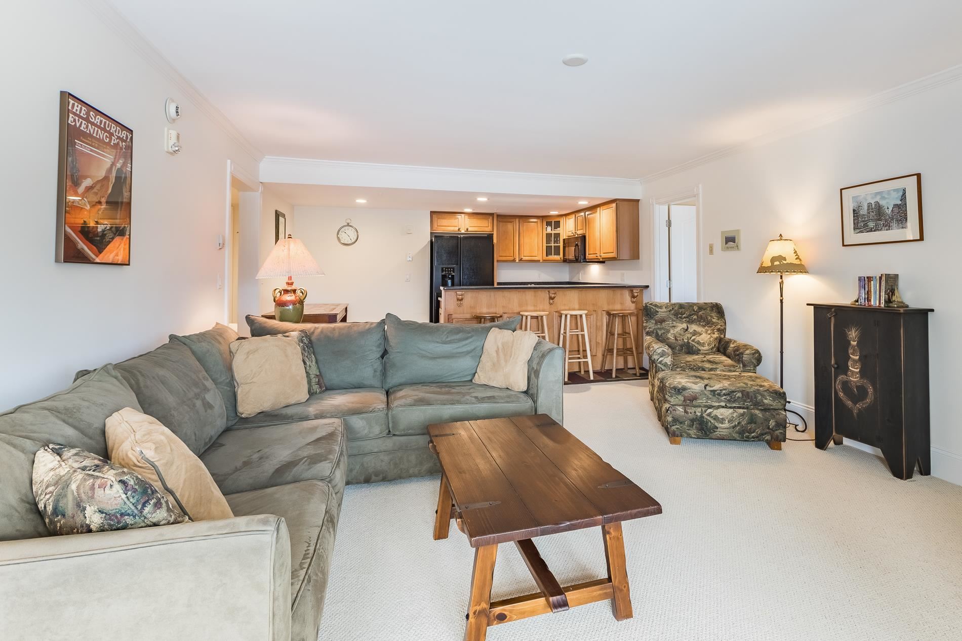 19 Village Lodge Road, Unit 206 Stratton, VT 05155 - Photo 3 of 21