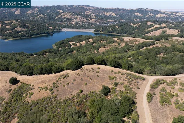a view of a forest with a forest