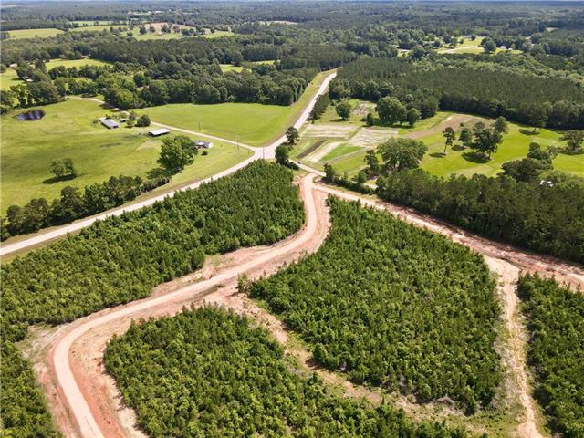 2 436th Highway Angie, LA 70426 - Photo 12 of 19