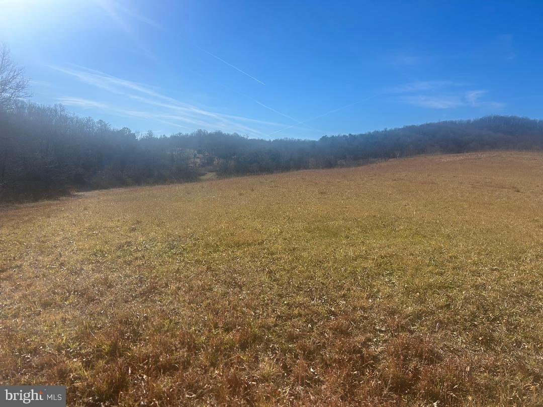 342 South Poes Road Amissville, VA 20106 - Photo 4 of 16