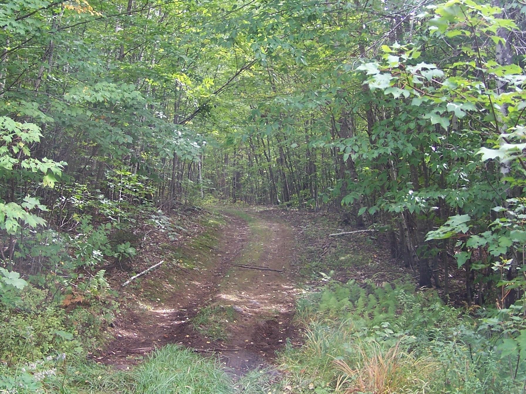 0 Old Stage Road Bristol, NH 03222 - Photo 15 of 19 Gallery Image 15