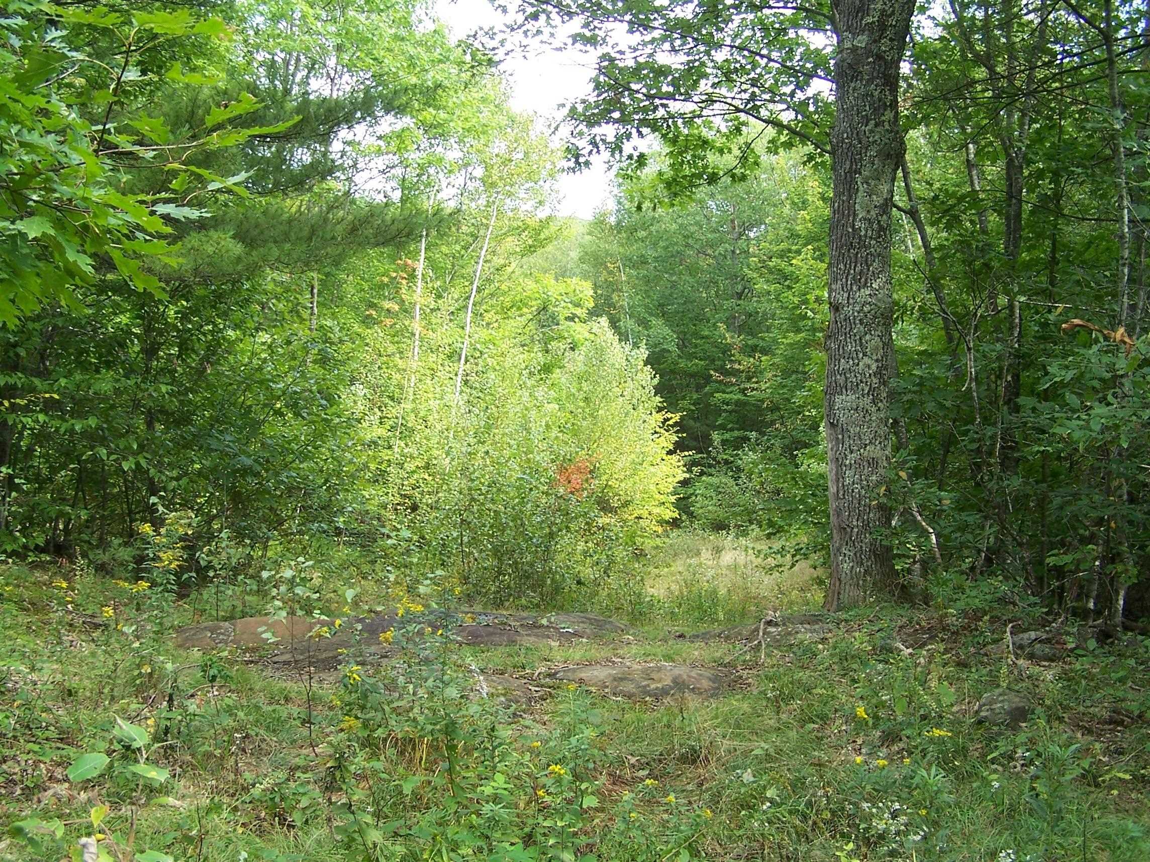 0 Old Stage Road Bristol, NH 03222 - Photo 17 of 19 Gallery Image 17