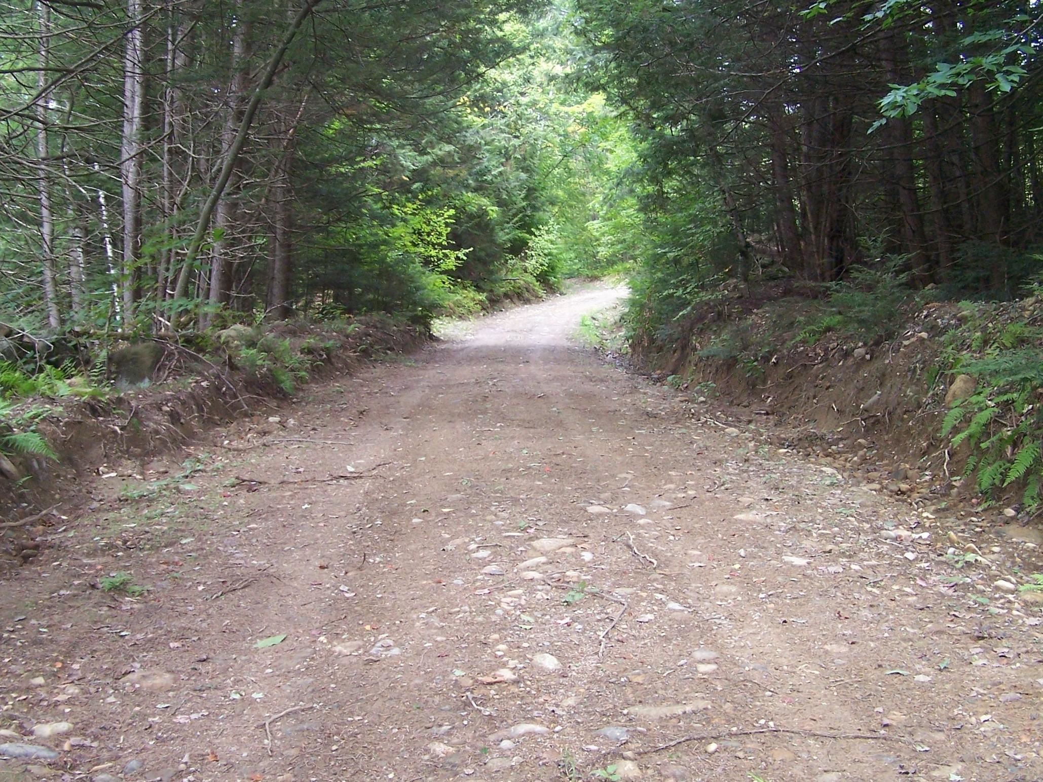 0 Old Stage Road Bristol, NH 03222 - Photo 19 of 19 Gallery Image 19