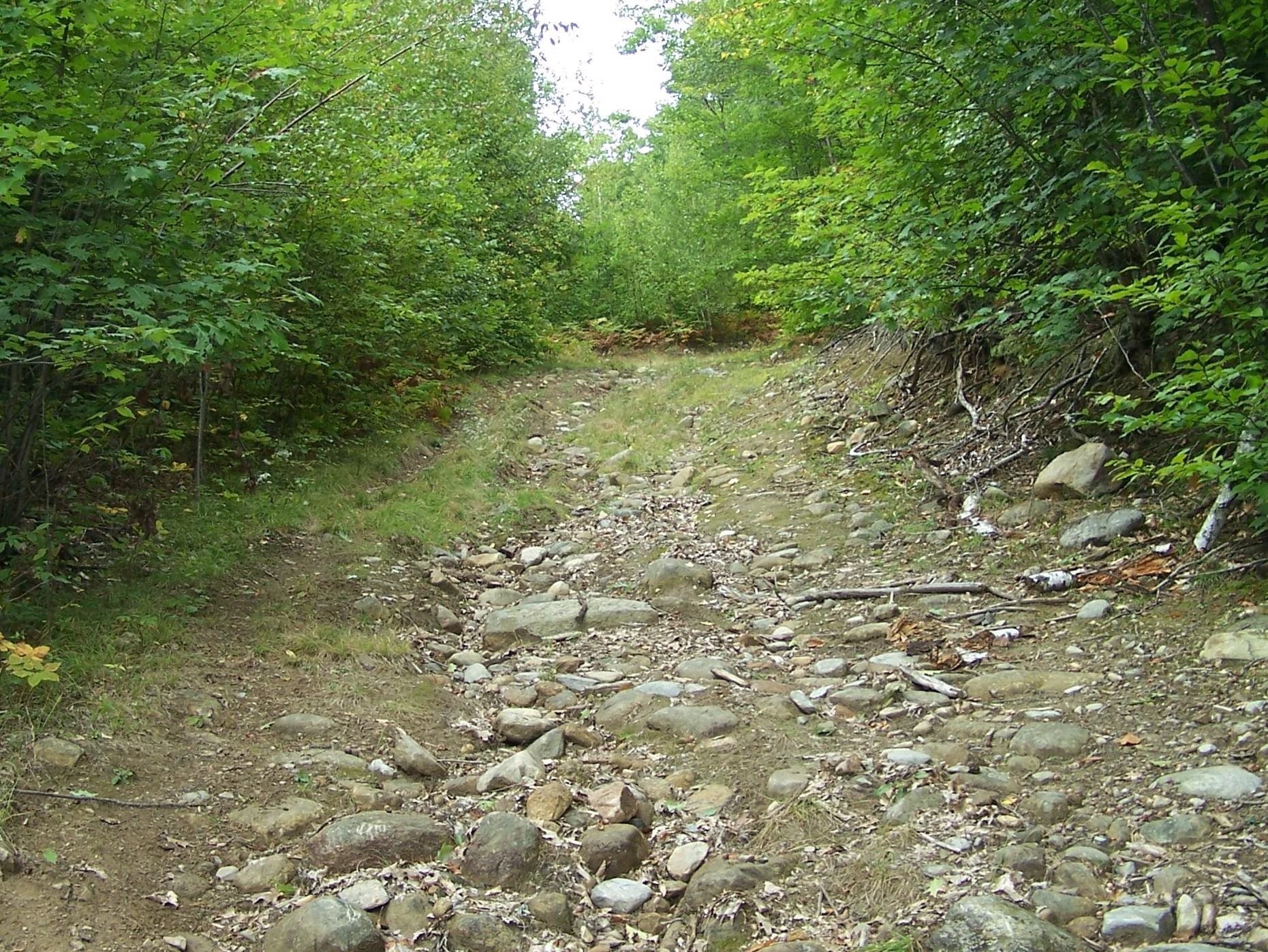 0 Old Stage Road Bristol, NH 03222 - Photo 7 of 19 Gallery Image 7