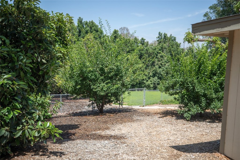 1566 Heather Lane Riverside, CA 92504 - Photo 42 of 61