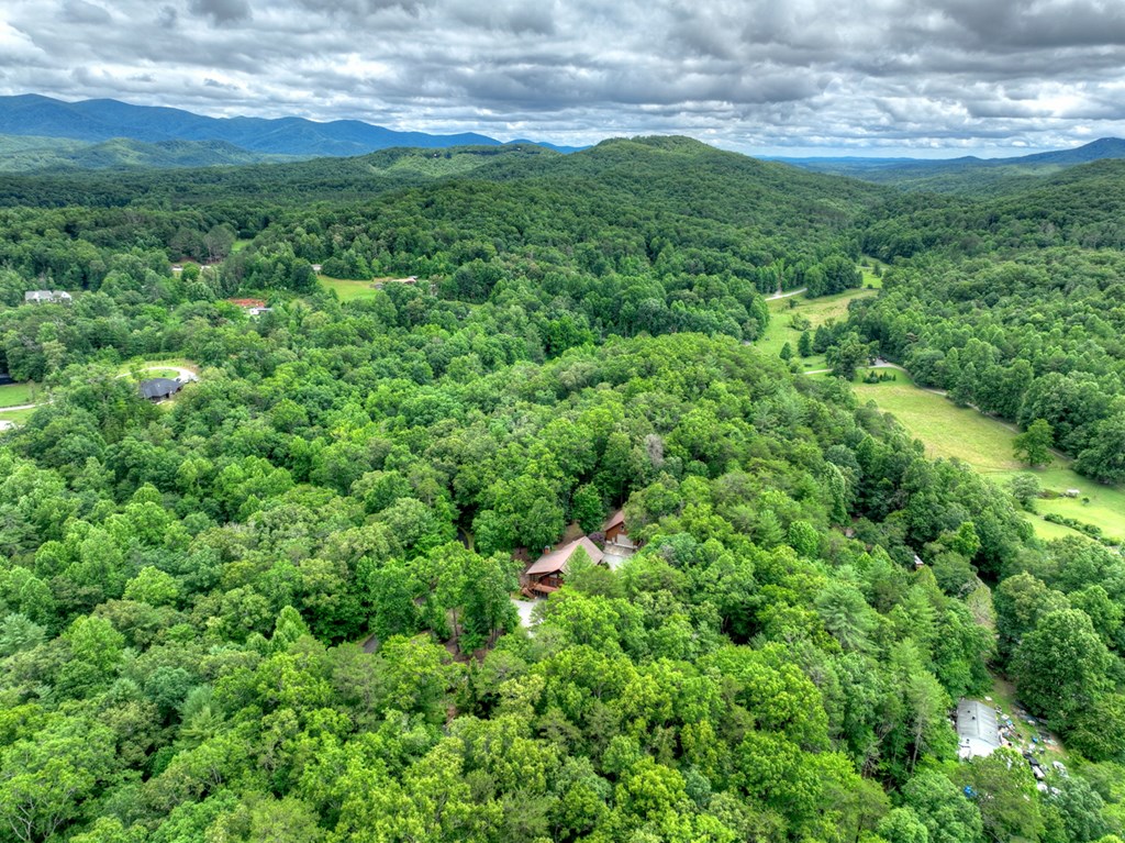 536 Delta Way Blue Ridge, GA 30513 - Photo 67 of 70