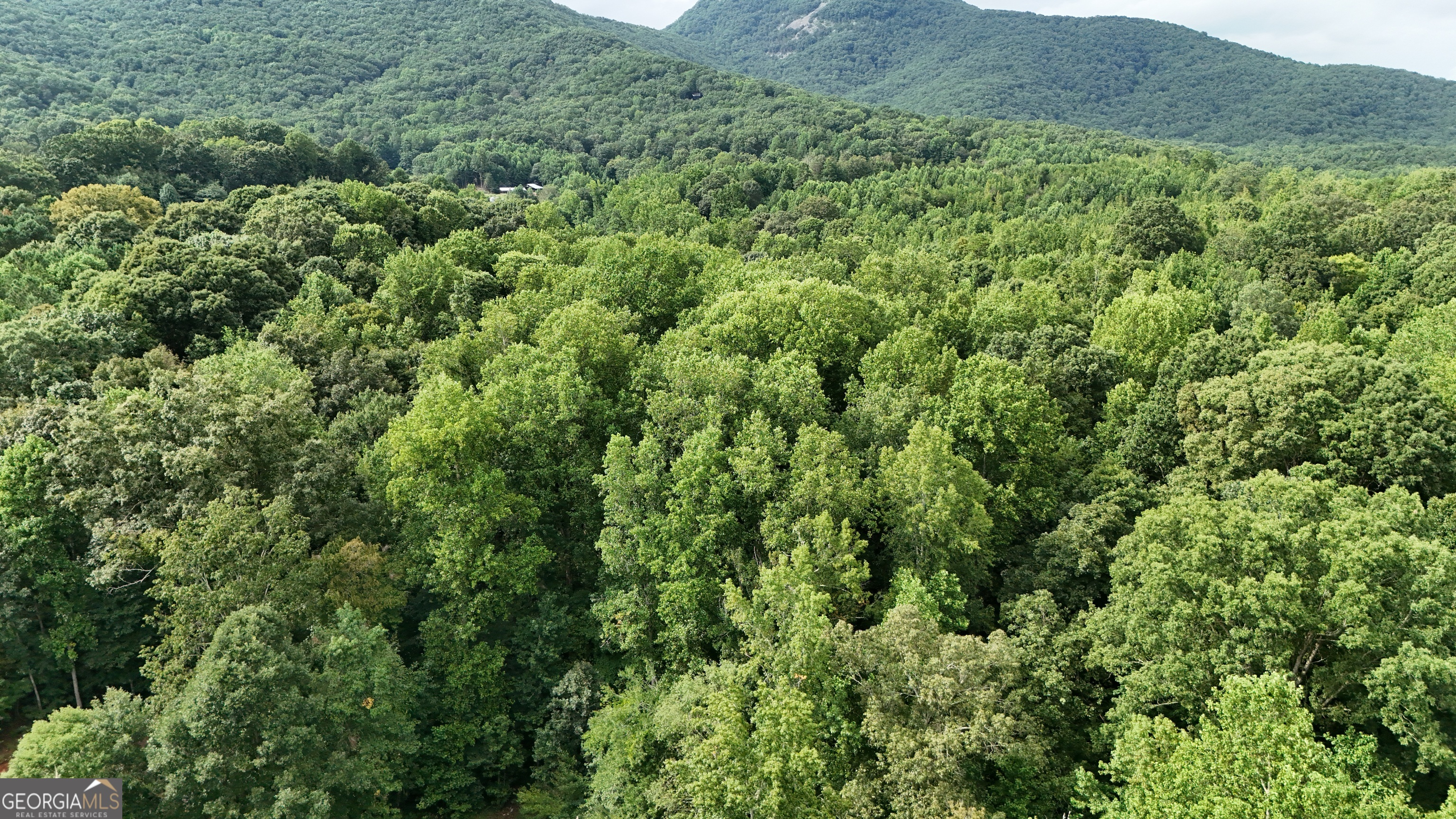 Lot 12 Heather Way Cleveland, GA 30528 - Photo 4 of 6