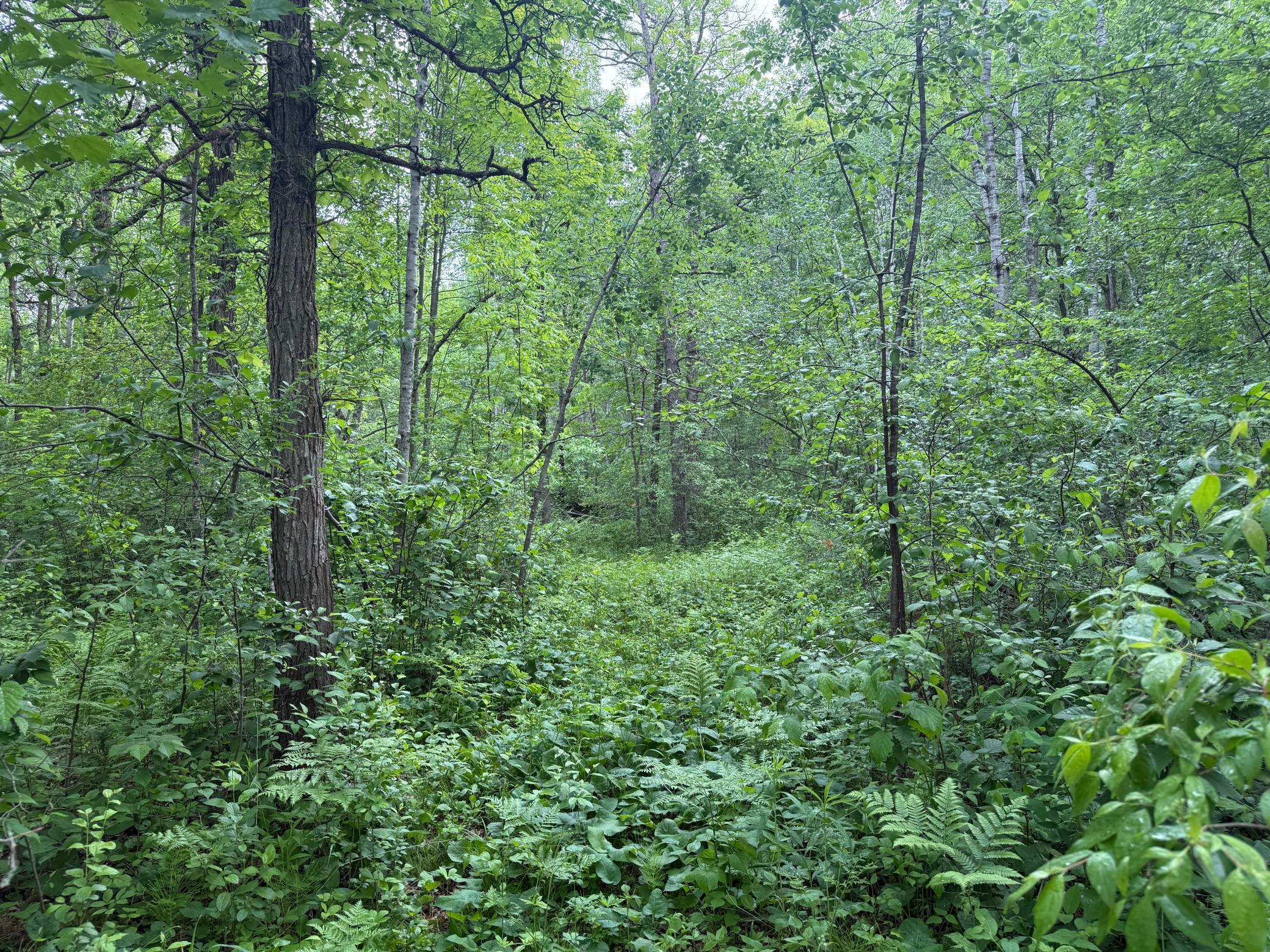 10551 Mallard Road Brook Park, MN 55007 - Photo 17 of 44