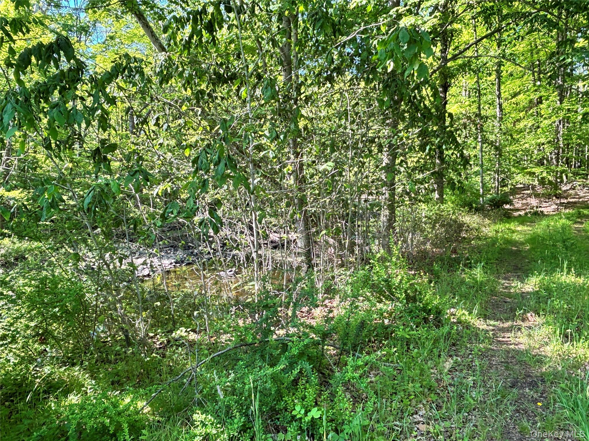 South Plank Road Westtown, NY 10998 - Photo 12 of 14