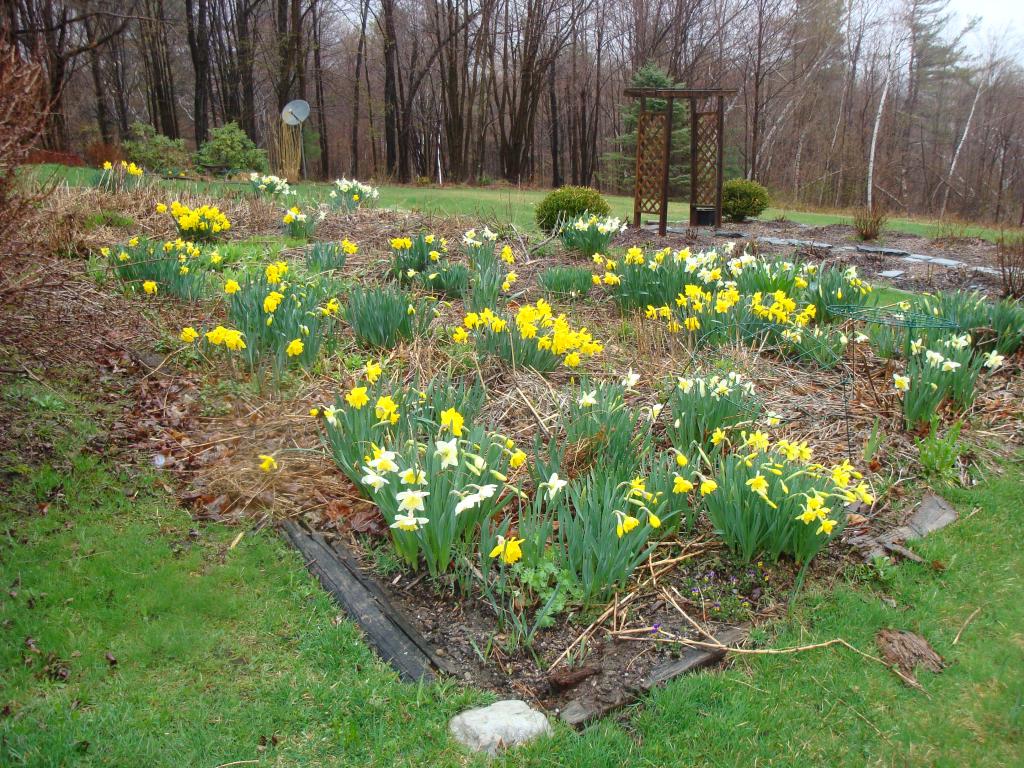 811 Phillips Hill Road Halifax, VT 05342 - Photo 20 of 27