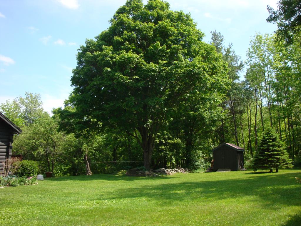 811 Phillips Hill Road Halifax, VT 05342 - Photo 23 of 27