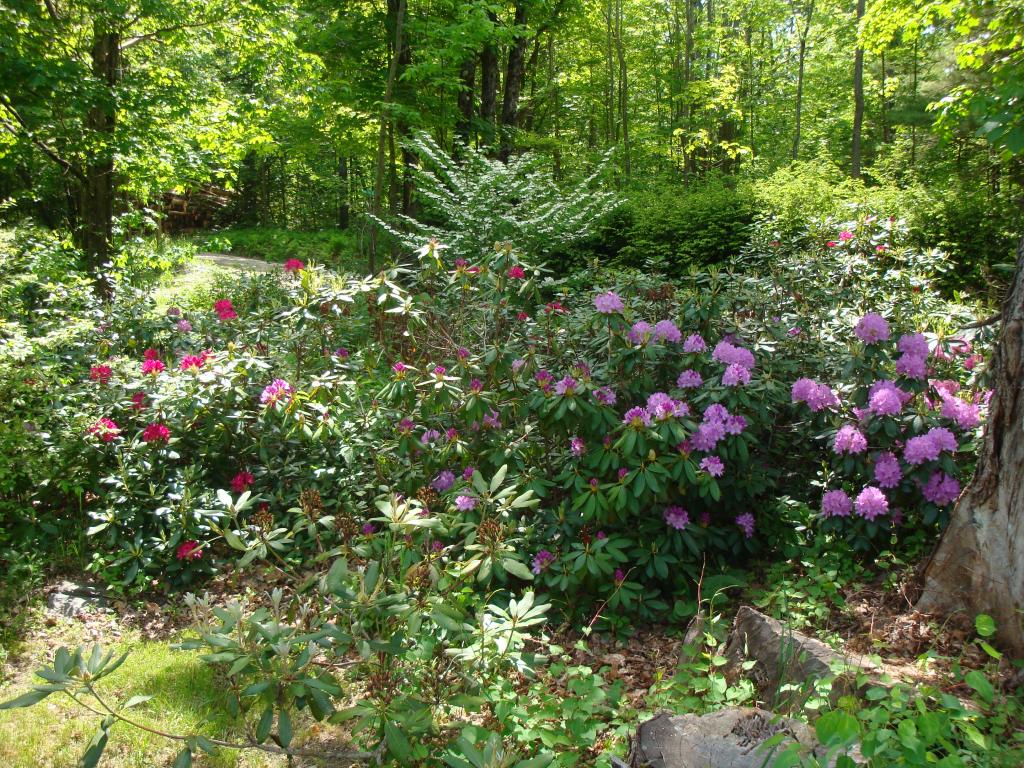 811 Phillips Hill Road Halifax, VT 05342 - Photo 24 of 27
