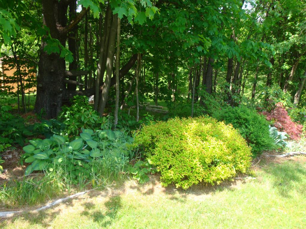 811 Phillips Hill Road Halifax, VT 05342 - Photo 26 of 27