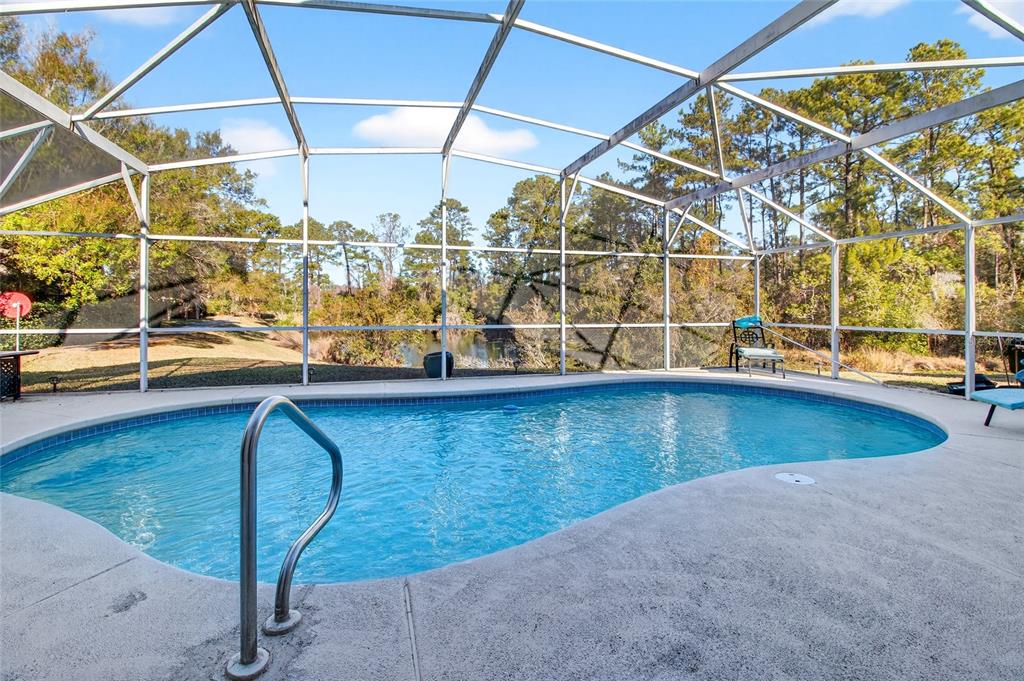 2250 Chase Court Mount Dora, FL 32757 - Photo 30 of 46 a view of a swimming pool