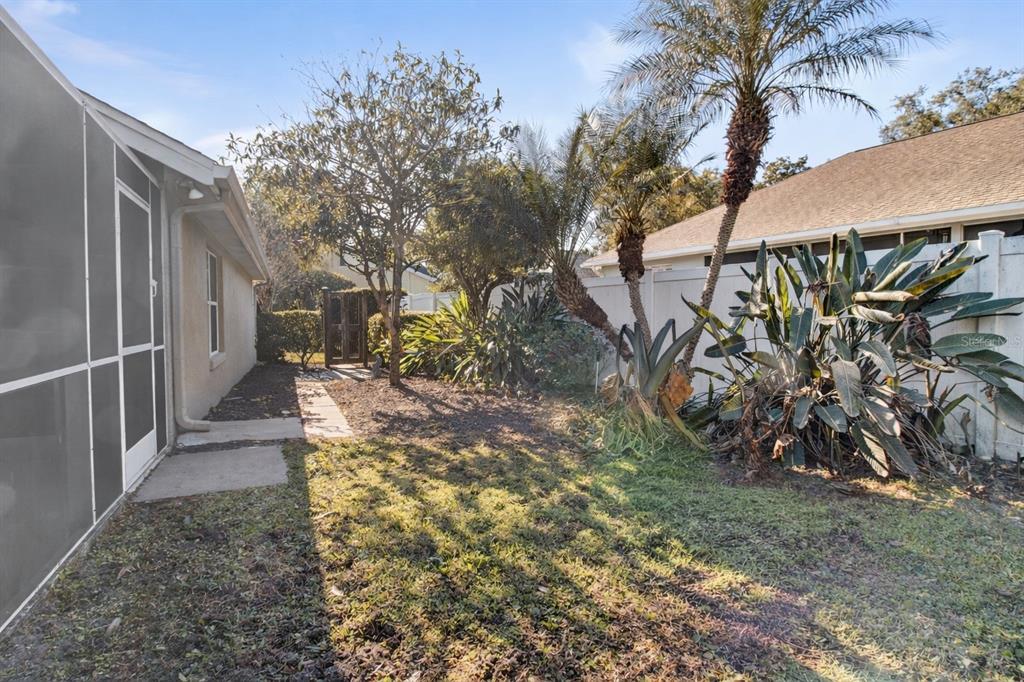 2250 Chase Court Mount Dora, FL 32757 - Photo 35 of 46 a view of a yard with plants and large trees