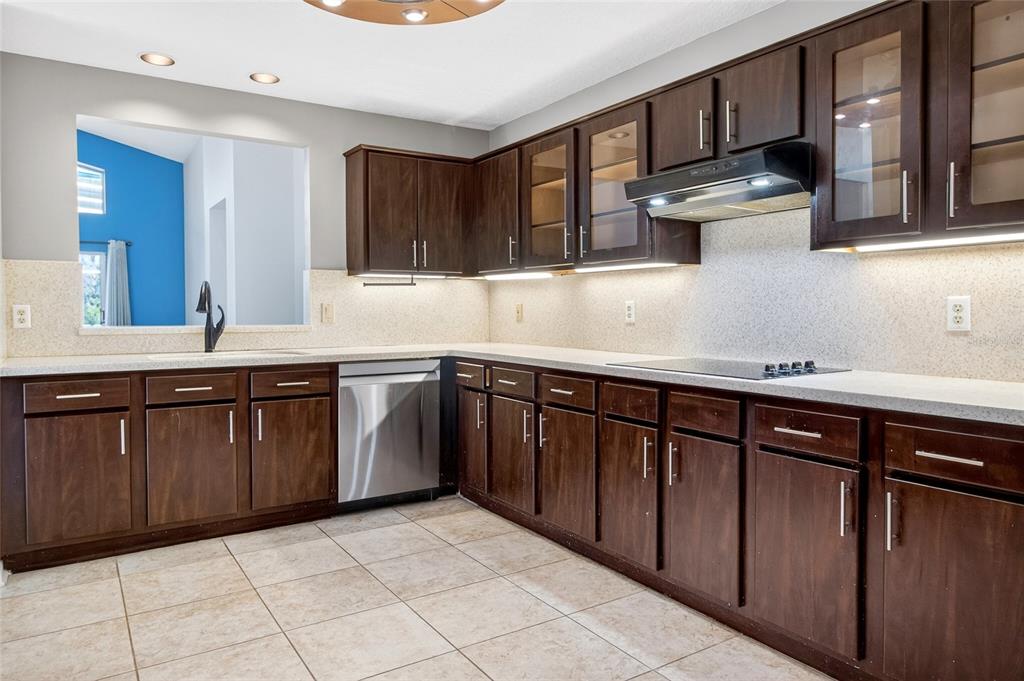 2250 Chase Court Mount Dora, FL 32757 - Photo 9 of 46 a kitchen with stainless steel appliances granite countertop a sink and cabinets