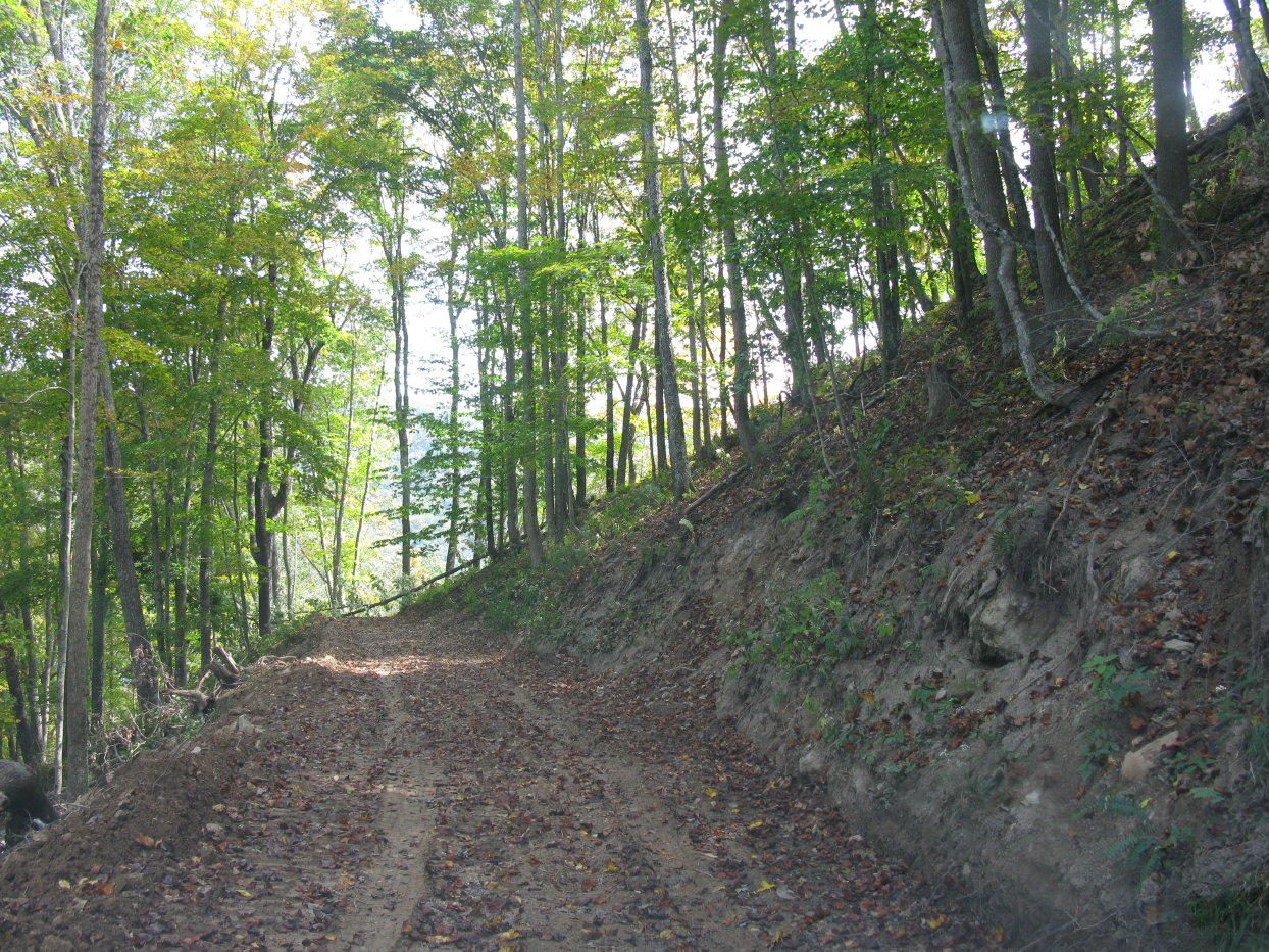Bluestone River Road Jumping Branch, WV 25969 - Photo 5 of 14 Gallery Image 5