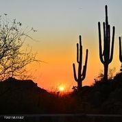 13505 North Old Ranch House Road, Unit 30 Marana, AZ 85658 - Photo 2 of 18
