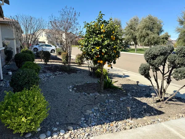 a front view of a house with garden
