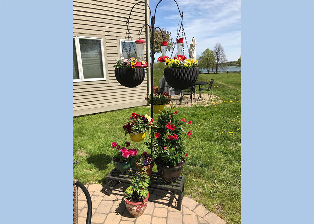 32 Back Cove Estates Road, Unit 32 Portland, ME 04103 - Photo 16 of 27 Patio flowers