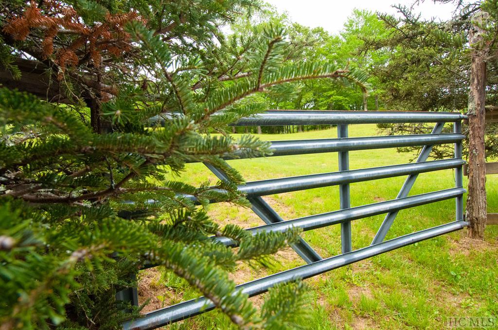 Tbd Bee Tree Road Glenville, NC 28736 - Photo 17 of 26 Gallery Image 17
