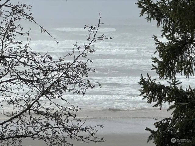 a view of a yard with wooden fence
