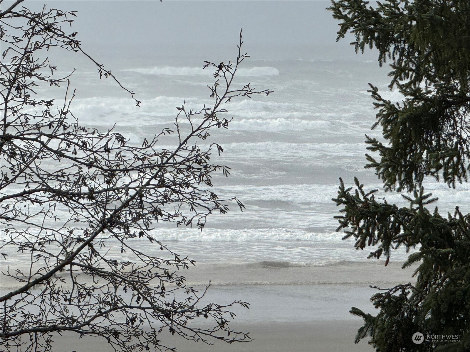 a view of a yard with wooden fence