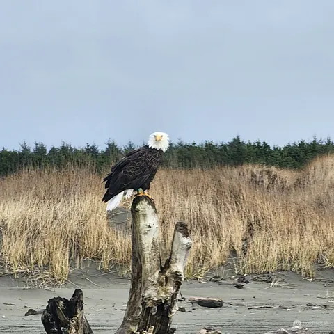 a kitchen with stainless steel appliances a stove a sink and a refrigerator