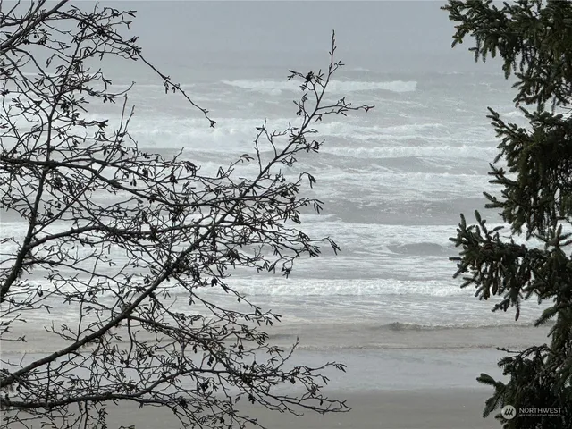 a view of a yard with wooden fence